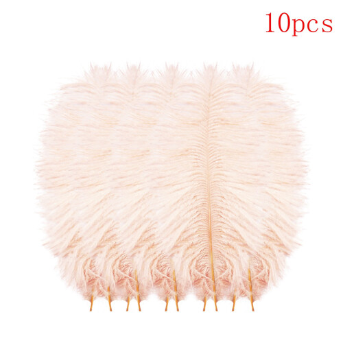 Plumage Craft Decor Multicolor 10pcs 1