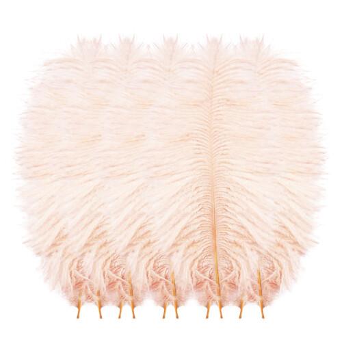 Floating Plume Feathers Natural Multicolor 10-Pack 20-25cm 1