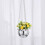 Large Capacity Plastic Disco Planter 2