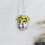 Large Capacity Plastic Disco Planter 6