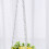Large Capacity Plastic Disco Planter 8