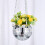Large Capacity Plastic Disco Planter 12