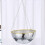 Large Capacity Plastic Disco Planter 13
