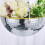 Large Capacity Plastic Disco Planter 14