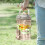 Plertrvy drink dispenser clear plastic 1 gallon 3