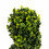 Oypla Oypla Set of 2 Artificial Topiary Boxwood Spiral Trees 80cm 9