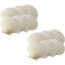 Set of 12 Maine Man 3.25 Inch Natural Seashell Baking Shells for Baking Favorite Dishes