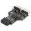 Dualer 9Pin USB Adapter Karte 8