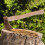 Wooden Replacement Handle for Garden Tools, 38cm Light Yellow, 5-Pack 3