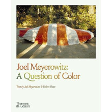 Joel Meyerowitz A Question of Color Paperback Book