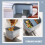 Plastic Sink Drain Basket with Hanging Edge Design 3