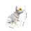 Resin Bobblehead Dog Dashboard Ornament 2