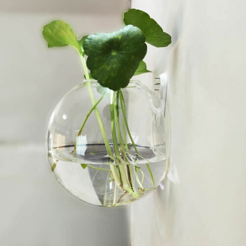 Väggmonterad glasvas halvrund transparent 10/12/15 cm