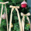 Fita de veludo natalina 3/8 polegadas x 10 jardas 5