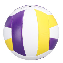 Lightweight Training Volleyball Size 5