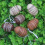 Easter Eggs Assorted Colors 6 Pcs 5