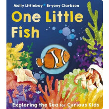 One Little Fish by Molly Littleboy Other Book