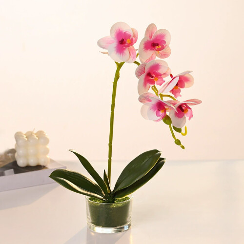 Artificial Orchid Bonsai in Glass Vase 1