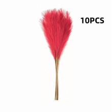 10PCS Artificial Pampas Grass Decor – 21.65" Fluffy Bohemian Reed Stems for Wedding, Home, Vase Arrangement (Hypoallergenic, No Shedding)