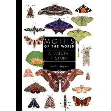 Moths of the World by David L. Wagner Hardcover Book