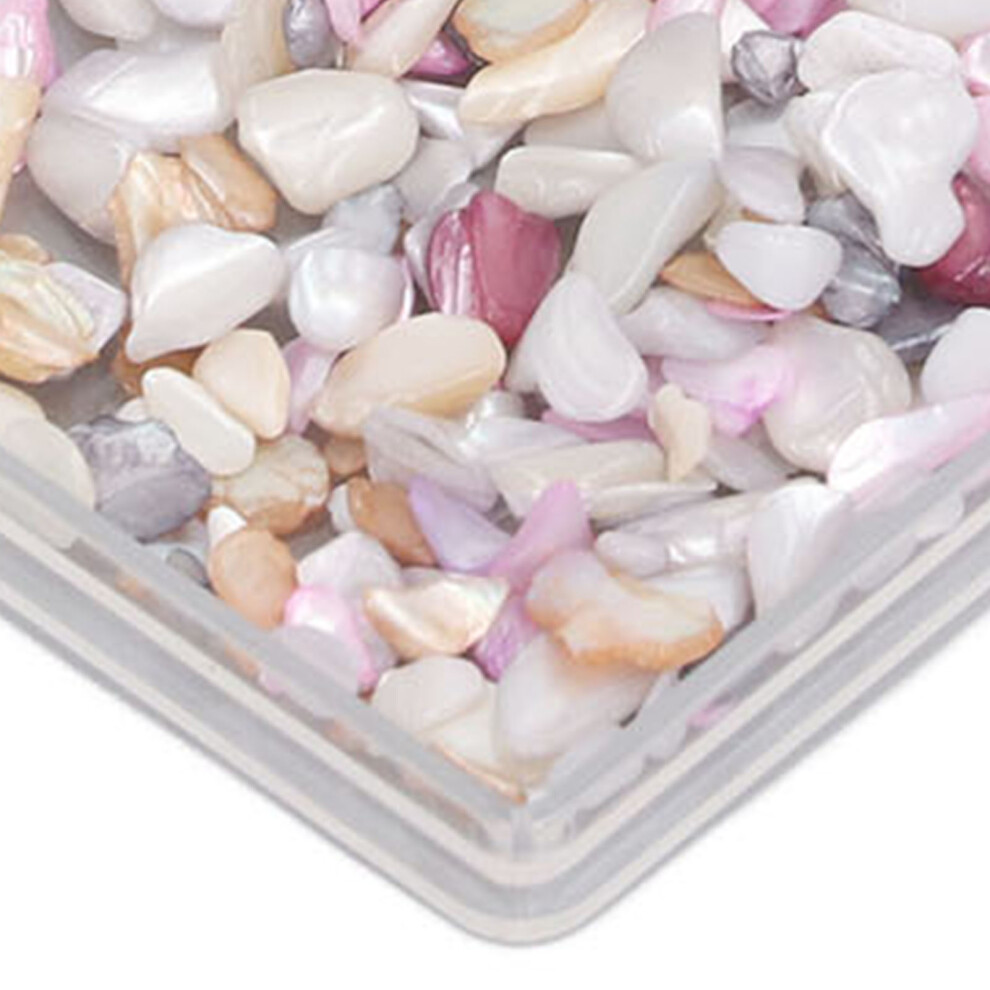 Irregular Aurora Nail Charms Seashell 2 Box