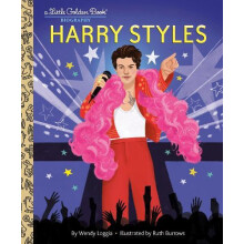 Harry Styles by Wendy Loggia Hardcover Book