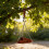 Bird Feeder Hanging Outdoor Spring Shape Brown 3