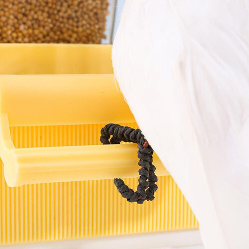 Automatic Bird Feeder with Anti-Scattering and Rice Husk 2