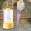Automatic Feeder with Rice Husk Separation and Scattering 5
