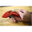 Sealey Sealey AK2269 Automatic Pistol Grip Wire Stripping Tool 4