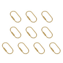10cps ovale messing sleutelhanger gouden karabijnhaak met-B