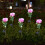 Solar Garden Lights LED Rose Design 6 Pack 2