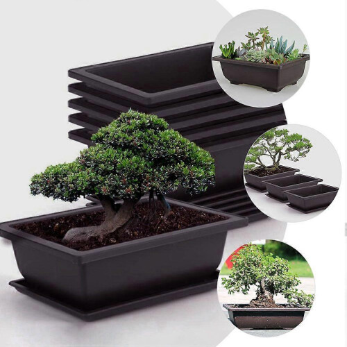 Rectangular Plastic Bonsai Pots for Succulents, Flowers, Plants, 5 Pack, No Trays, 16.5x12cm 1