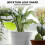 Leaf Watering Tool 48PCS Plastic Self Watering Planter Insert for Indoor Potted Plants 2