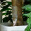 3-Piece Drip Irrigation System with Adjustable Water Volume for Potted Plants 5