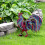 Metallene Hahn-Gartenfigur, 1 Stück 4