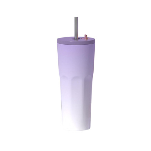 Μονωμένο ποτήρι από ανοξείδωτο ατσάλι 700ml με καπάκι και καλαμάκι