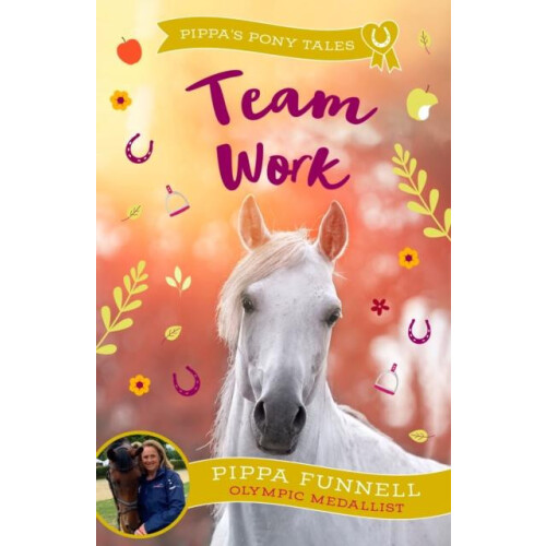 Team Work by Pippa Funnell Paperback Book