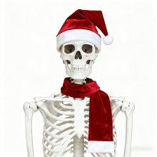 12ft Skeleton Costume Accessories Includes Santa Hat &Scarf,Funny Christmas Giant Skeleton Costume Garden Lawn Indoor Outdoor Decor