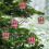 Plastic Christmas Ball Drop Finial Ornament Red 2 pcs 5