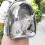 Living And Home Transparent Capsule Pet Travel Backpack 1