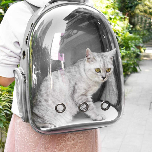 Living And Home Transparent Capsule Pet Travel Backpack