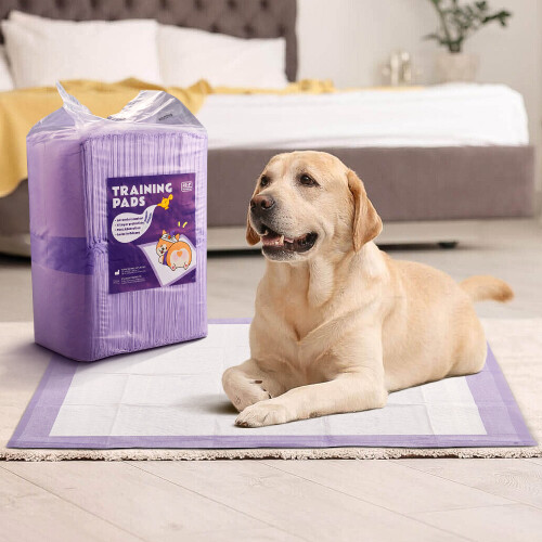 Living And Home 50Pcs Disposable Pet Training Pads