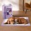 Living And Home 50Pcs Disposable Pet Training Pads 2