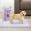 Living And Home 50Pcs Disposable Pet Training Pads 3