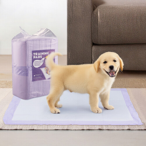 Living And Home 50Pcs Disposable Pet Training Pads 2