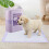 Living And Home 50Pcs Disposable Pet Training Pads 4