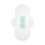 (245 daily use X10 tablets) Thin Panty Liners, Super Absorbent, Overnight Use 1