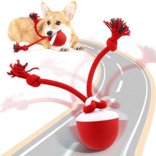 Moving Dogs Ball with Touch Activated, Rechargeable 1