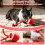 Moving Dogs Ball with Touch Activated, Rechargeable 5